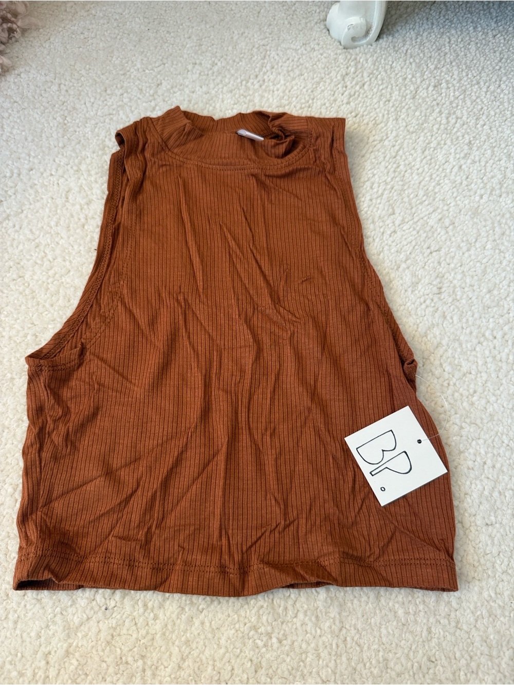 Nordstrom Ribbed Sleeveless Crop Top - Rust